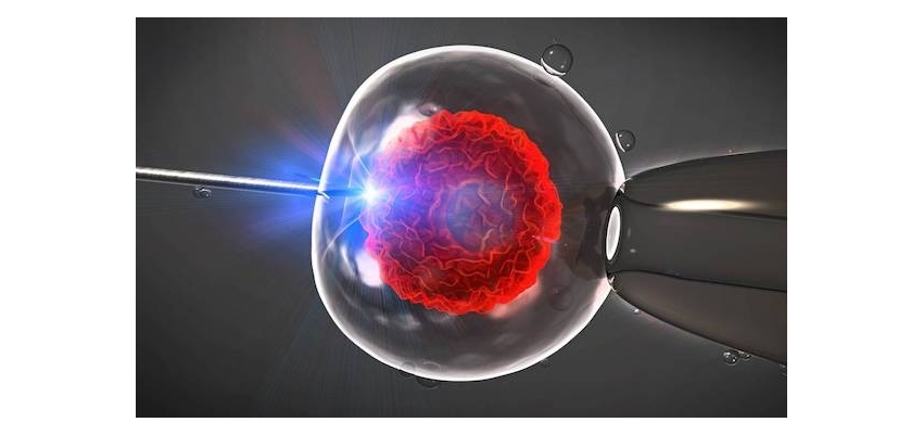Assisted-Hatching-(Embriyo-Traşlama)-Yöntemi-Nedir,-Kimlerde-Tercih-Edilir?