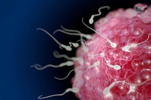 infertilite-kisirlik-nedenleri-nelerdir