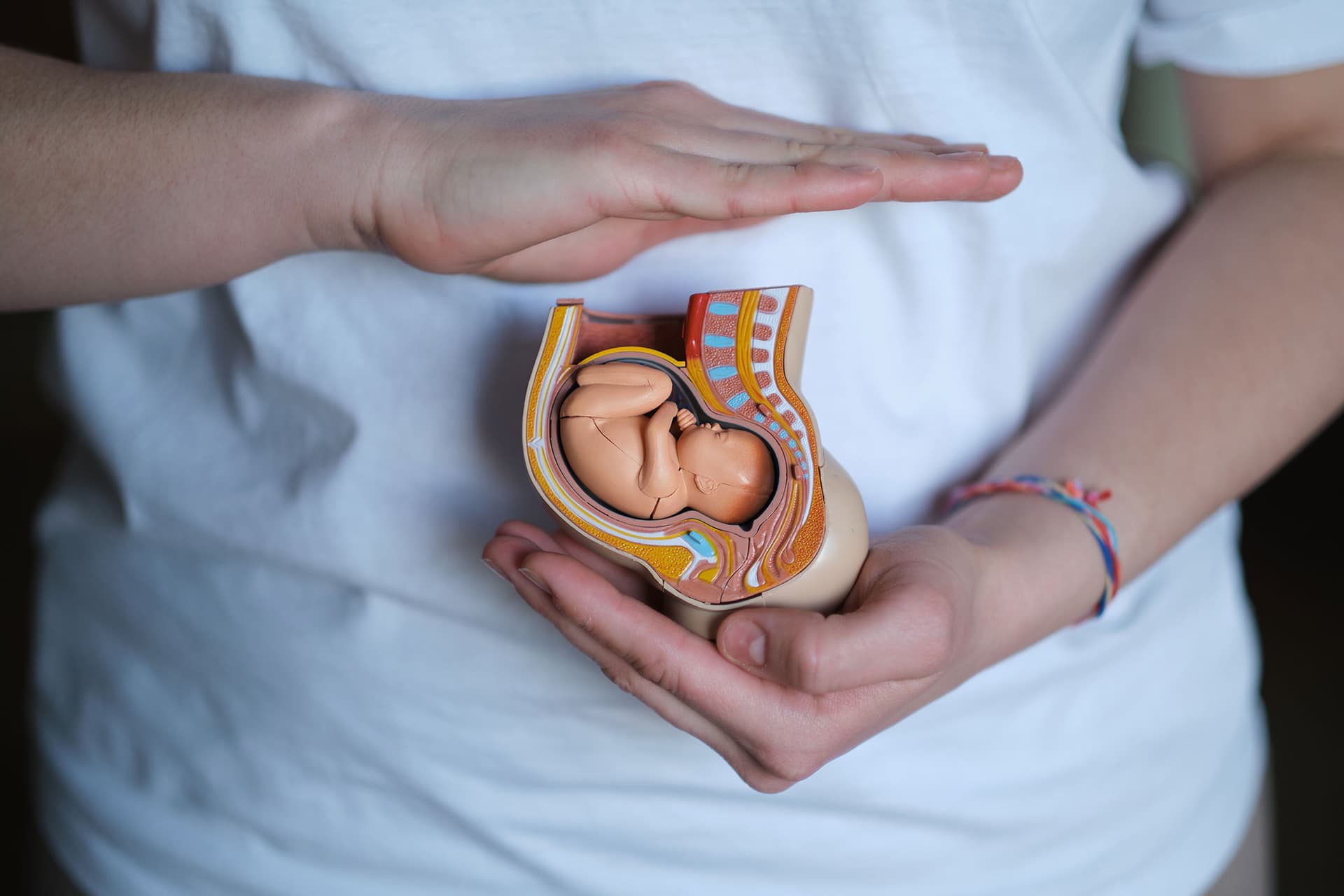 Fetal Anomali Nedir? Gebelikte Fetal Anomaliler ve Tanı Süreci